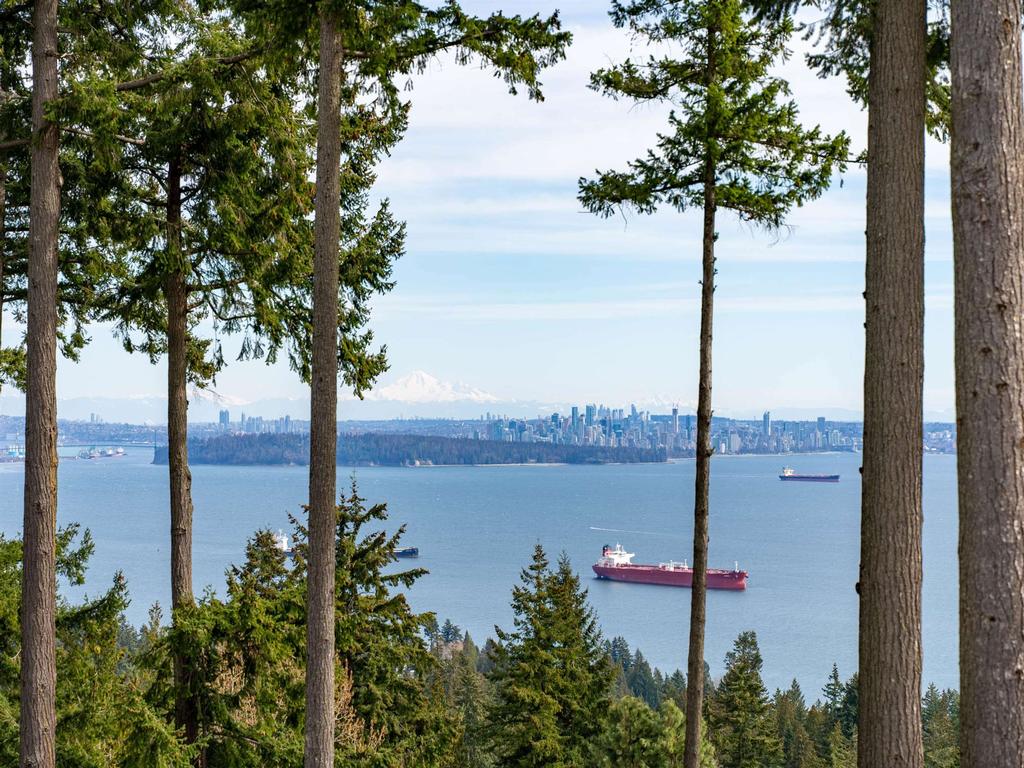 Listing Image for R3115696