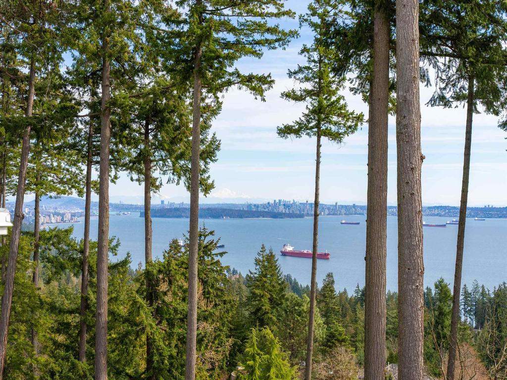 Listing Image for R3115696