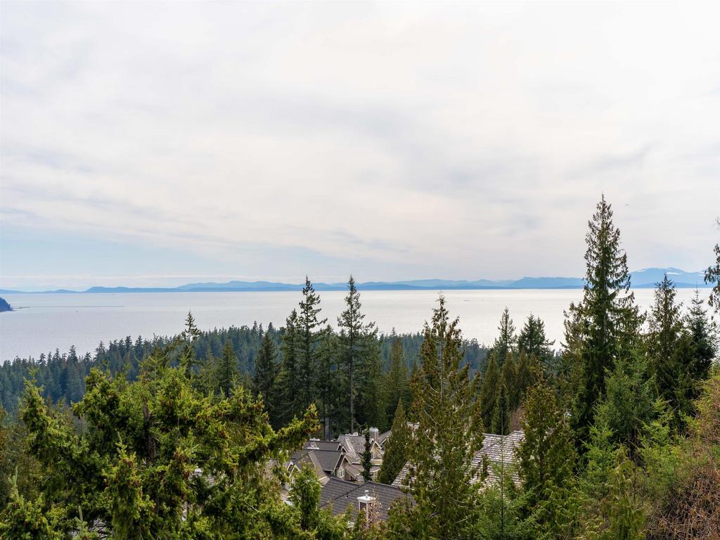 Listing Image for R3115696