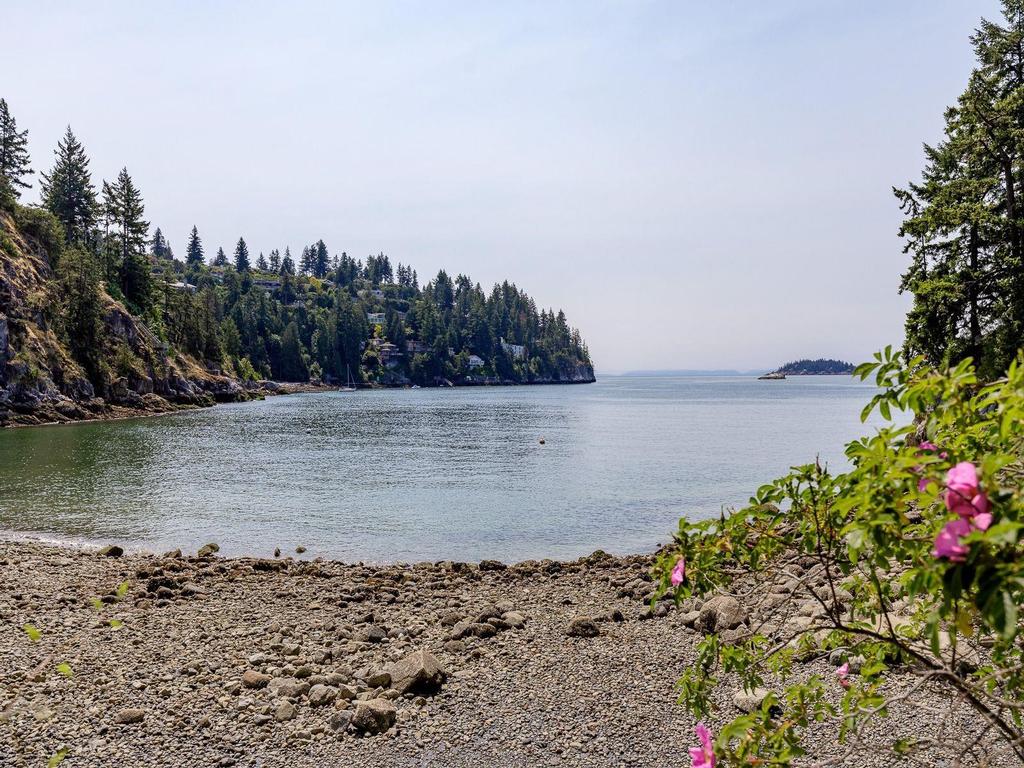 Listing Image for R3116062