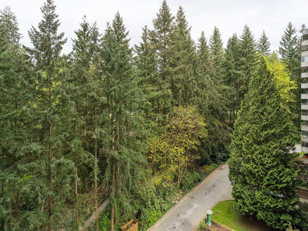 Listing Image for R3116095