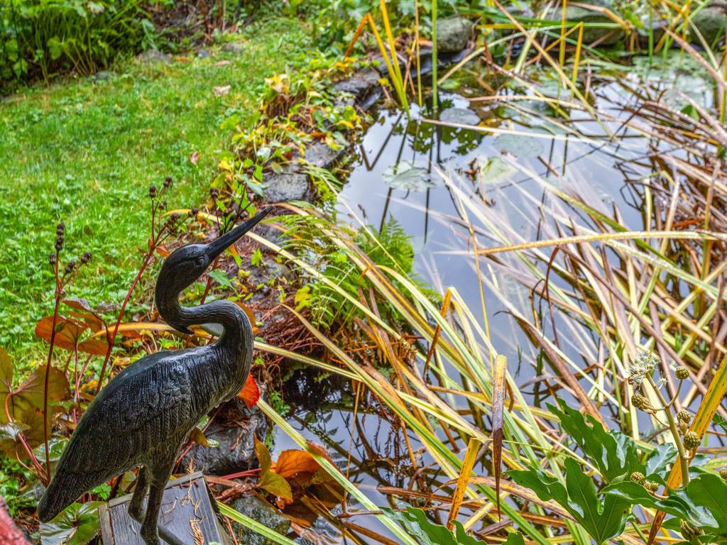 Listing Image for R3116697