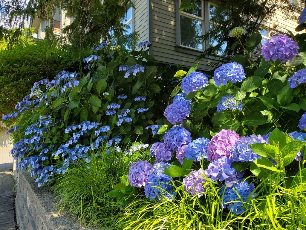 Listing Image for R3117235