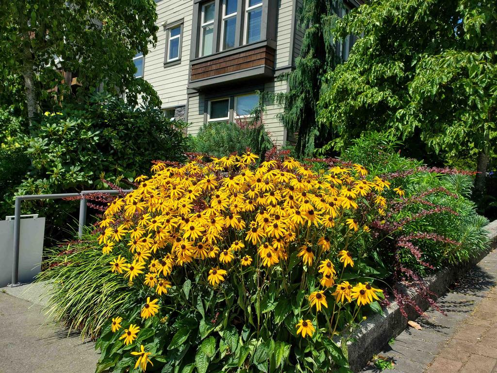 Listing Image for R3117235