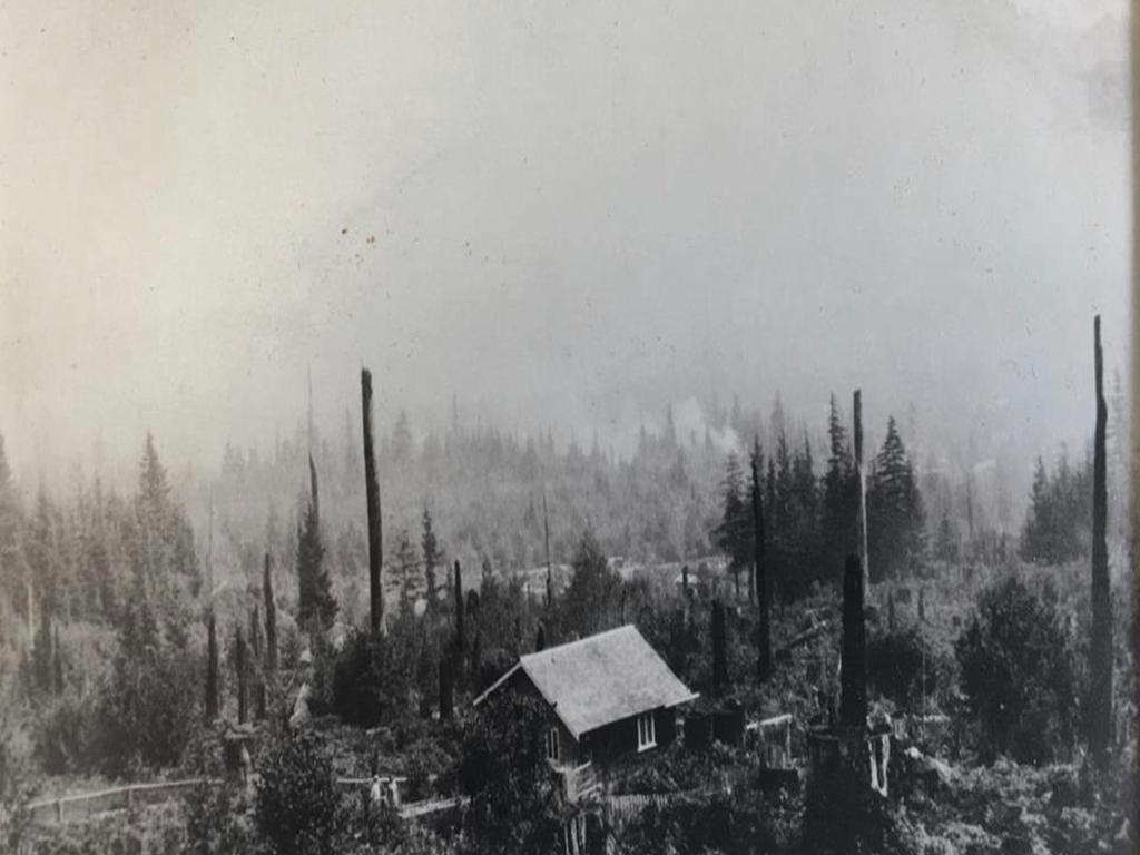 Listing Image for R3117408