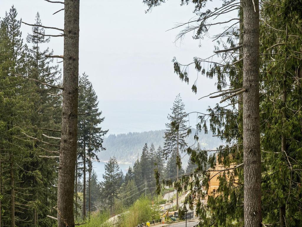 Listing Image for R3117466