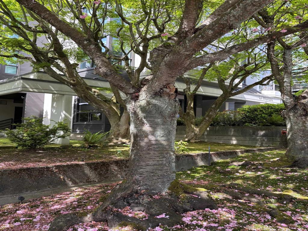 Listing Image for R3118635