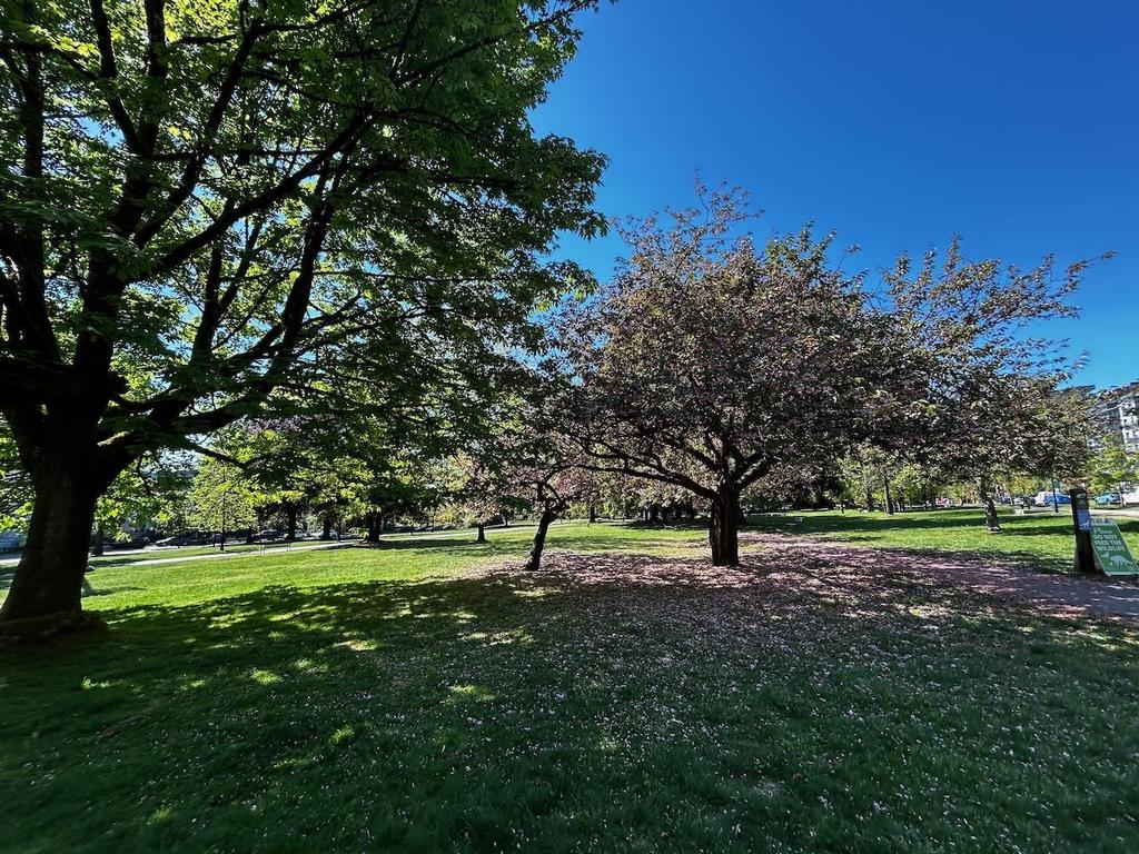 Listing Image for R3120103