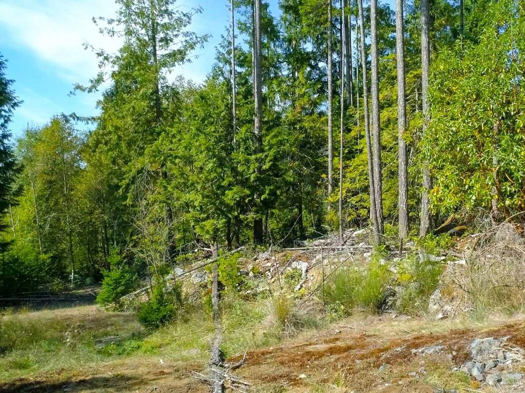 Listing Image for R3120672