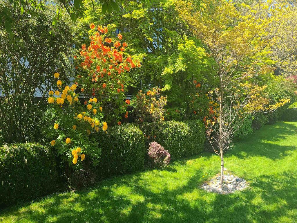 Listing Image for R3120816