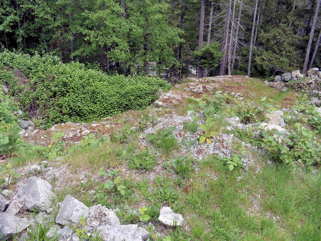 Listing Image for R3121252