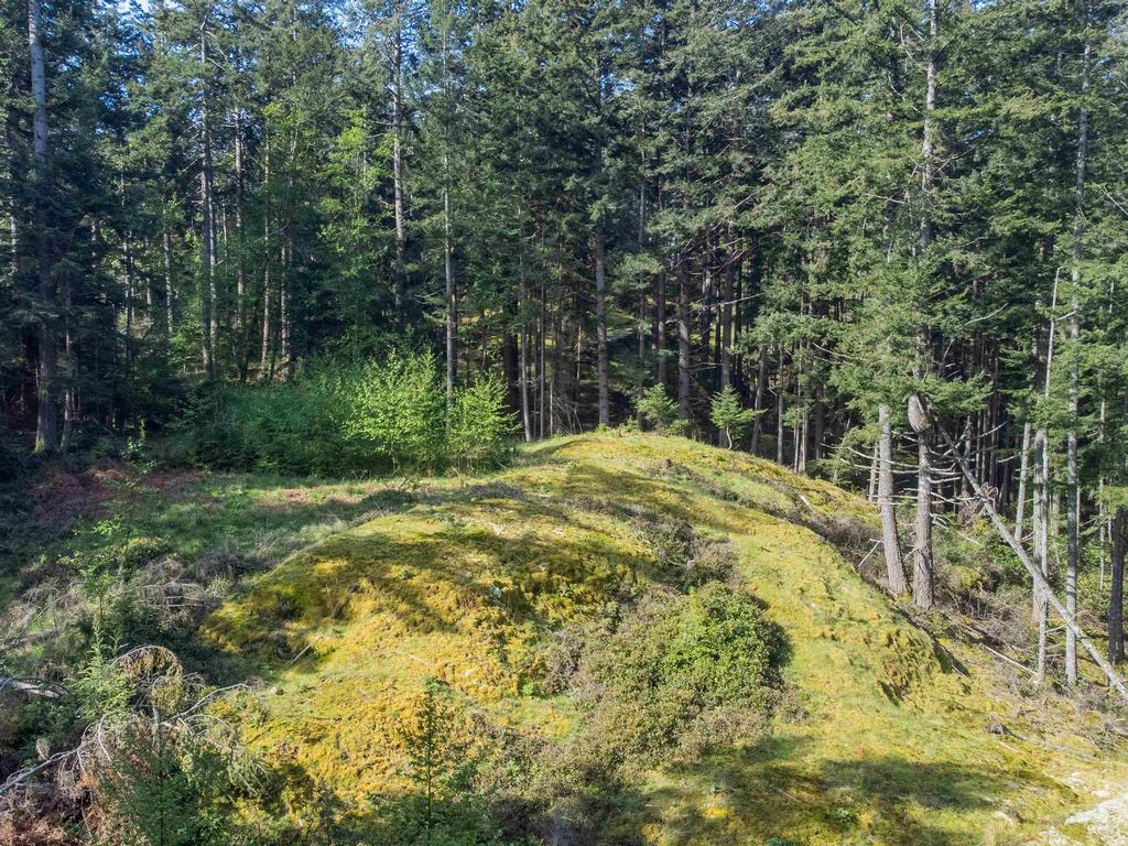 Listing Image for R3125140