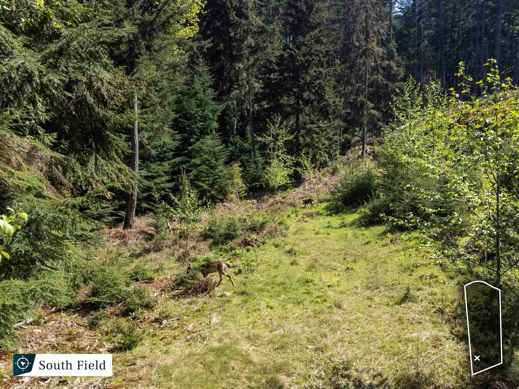 Listing Image for R3125140