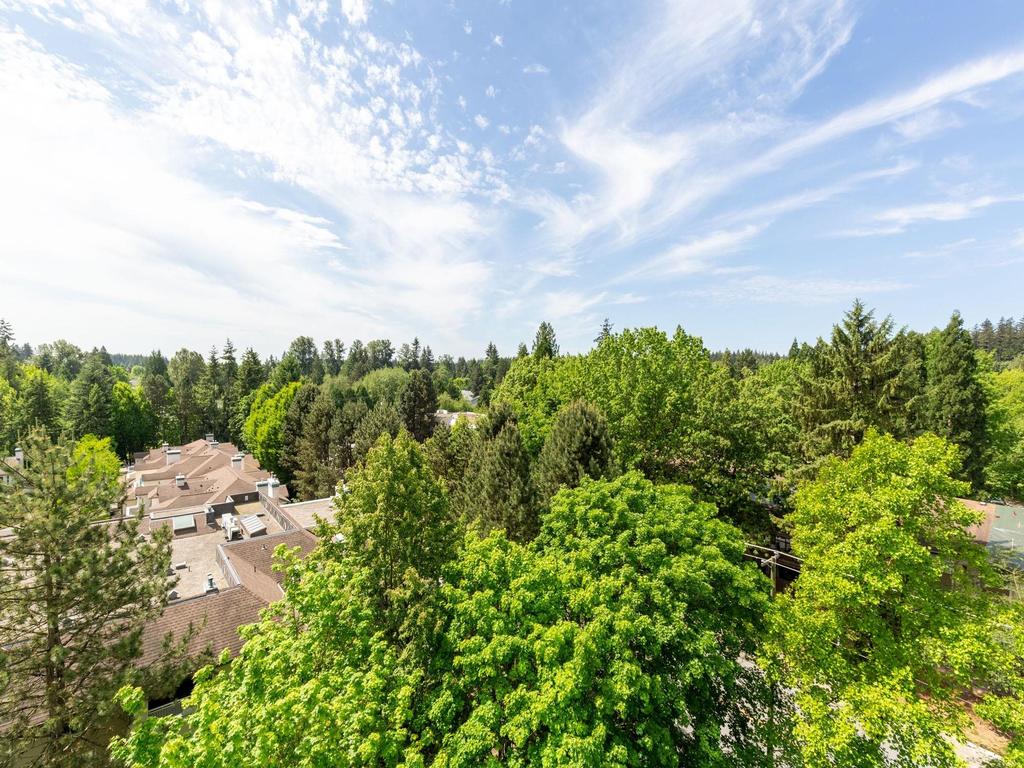 Listing Image for R3126023