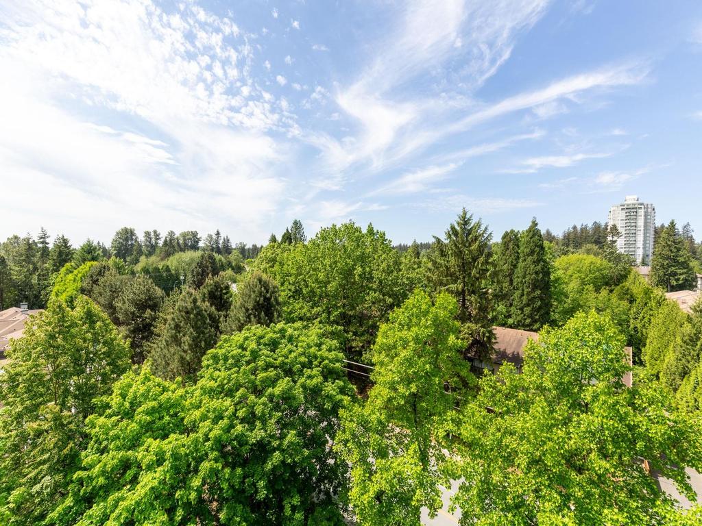 Listing Image for R3126023