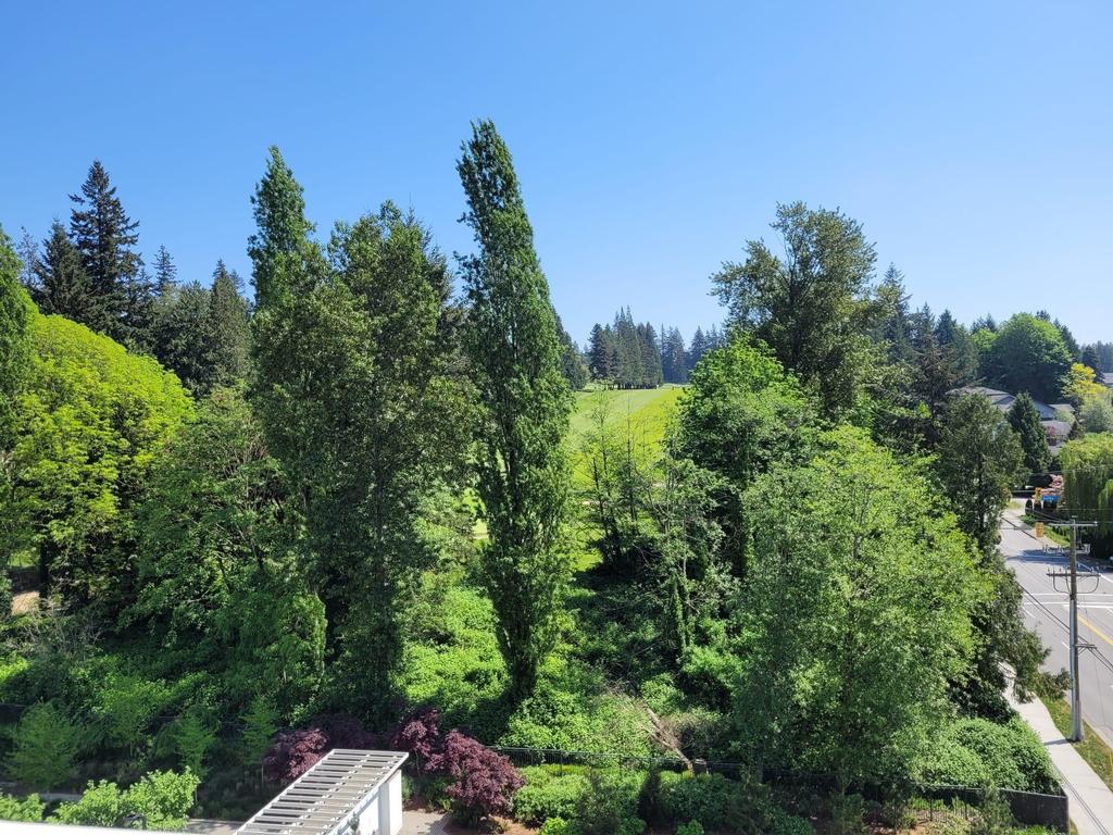 Listing Image for R3127094