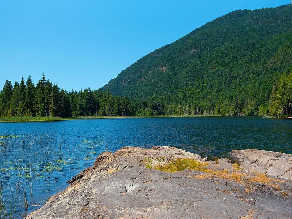 Listing Image for R3127214