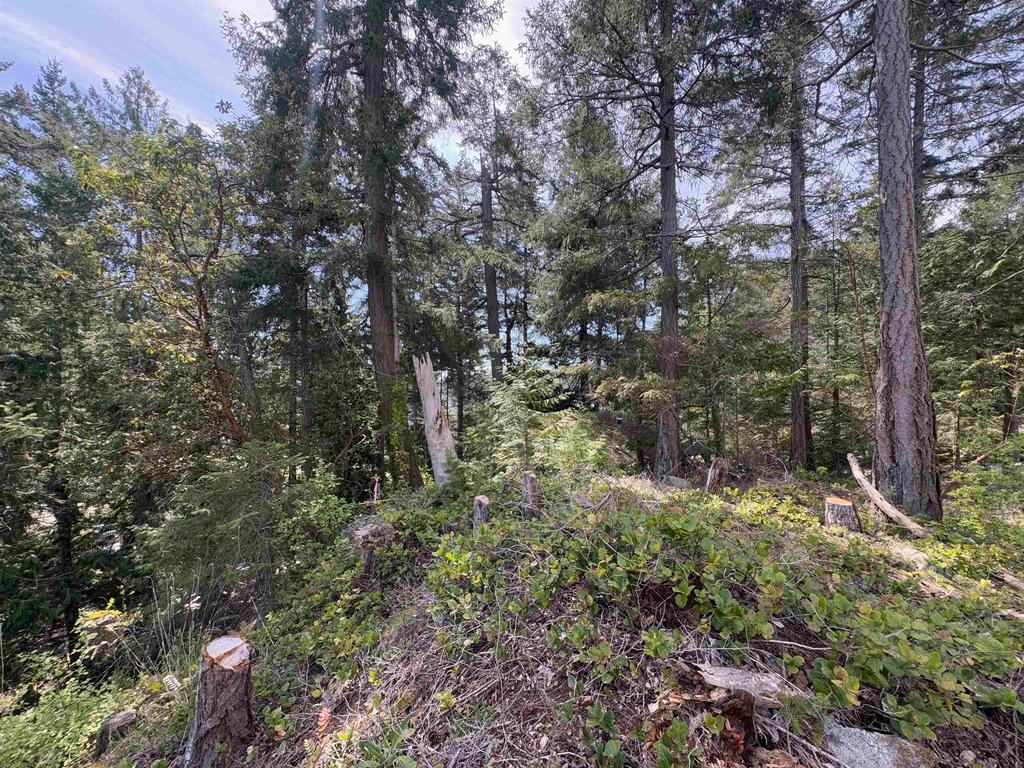 Listing Image for R3128077