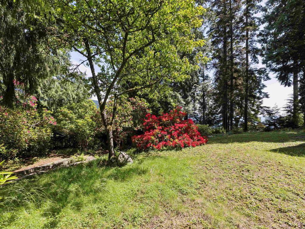 Listing Image for R3131887