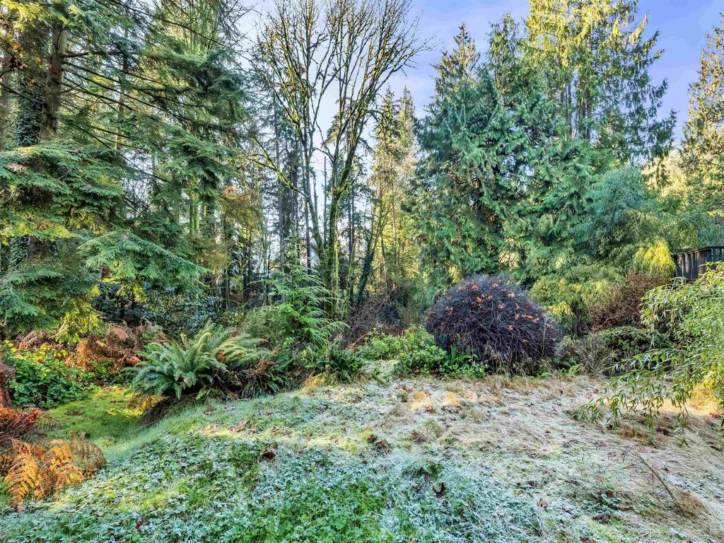 Listing Image for R3132550