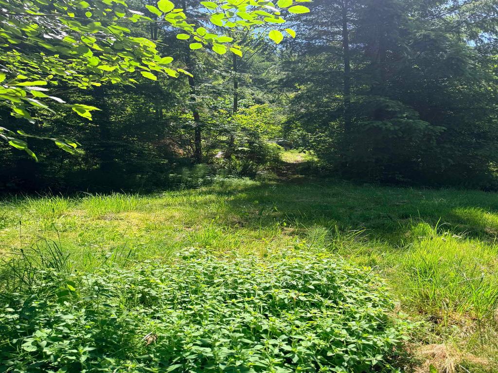 Listing Image for R3132713