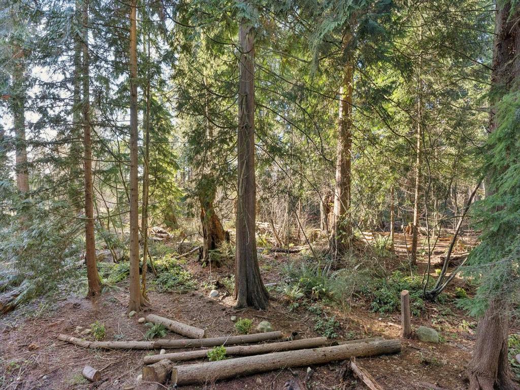 Listing Image for R3135263