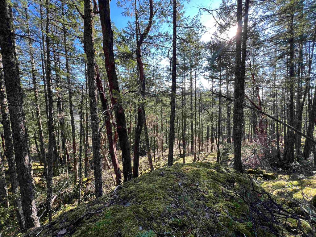 Listing Image for R3135535