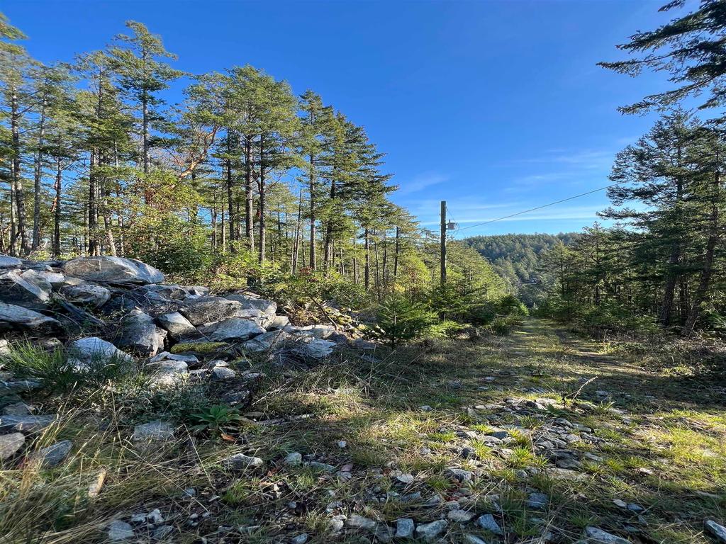 Listing Image for R3135535