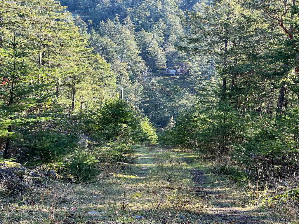 Listing Image for R3135535