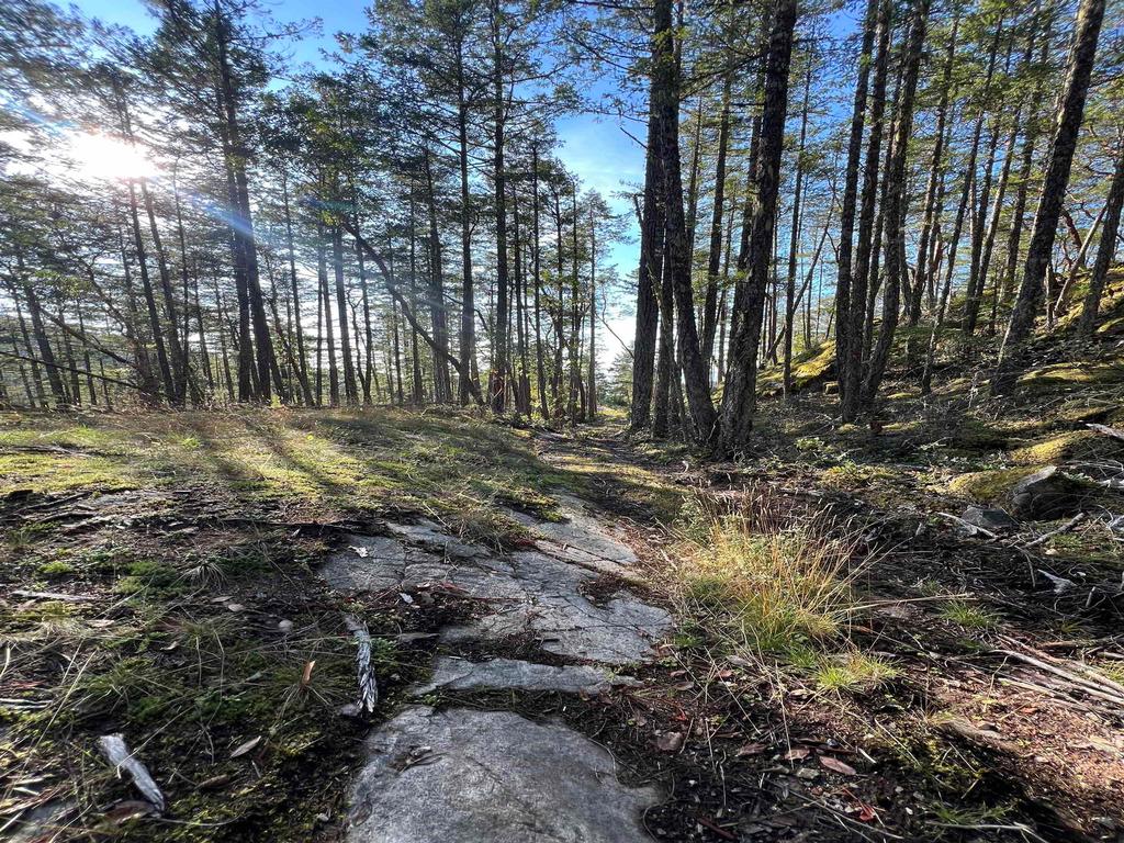 Listing Image for R3135538