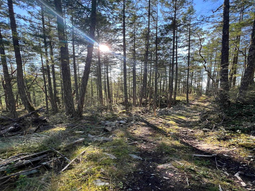 Listing Image for R3135538