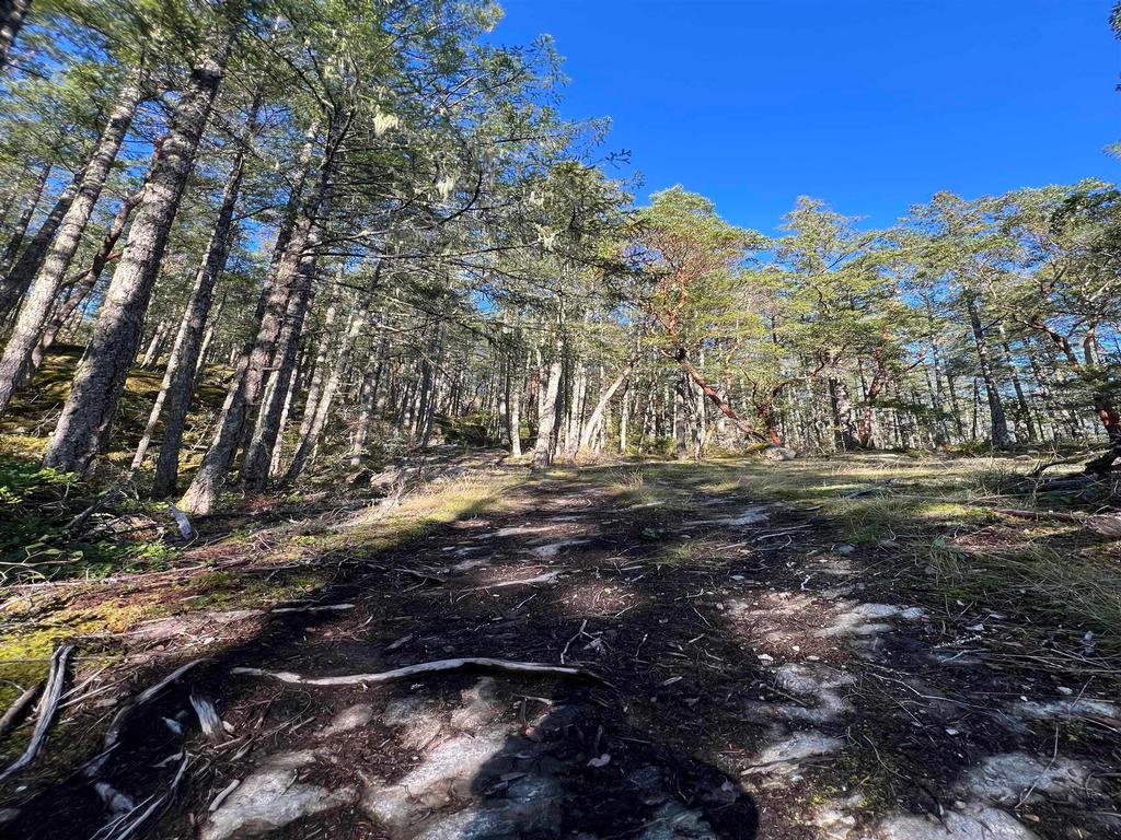 Listing Image for R3135538