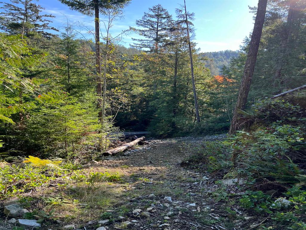Listing Image for R3135538