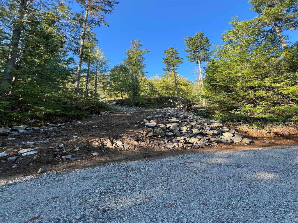 Listing Image for R3135538