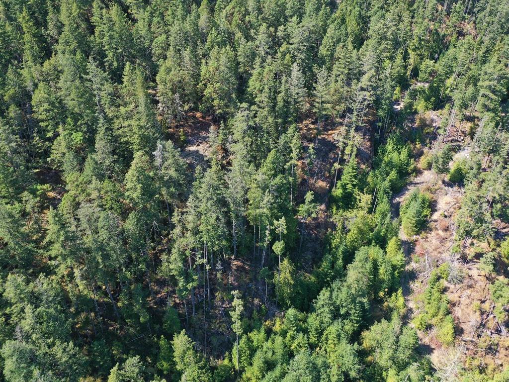 Listing Image for R3135539