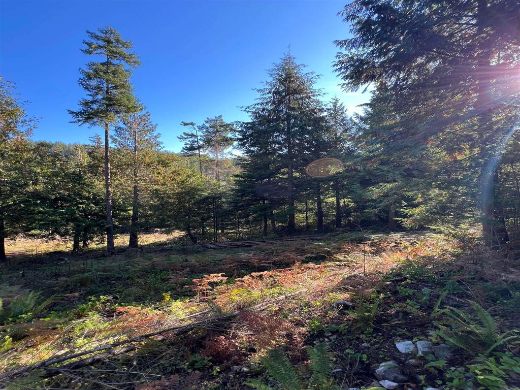 Listing Image for R3135539