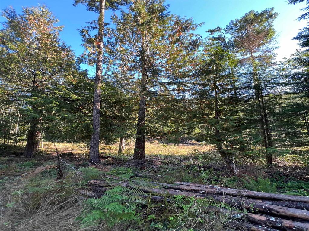 Listing Image for R3135539