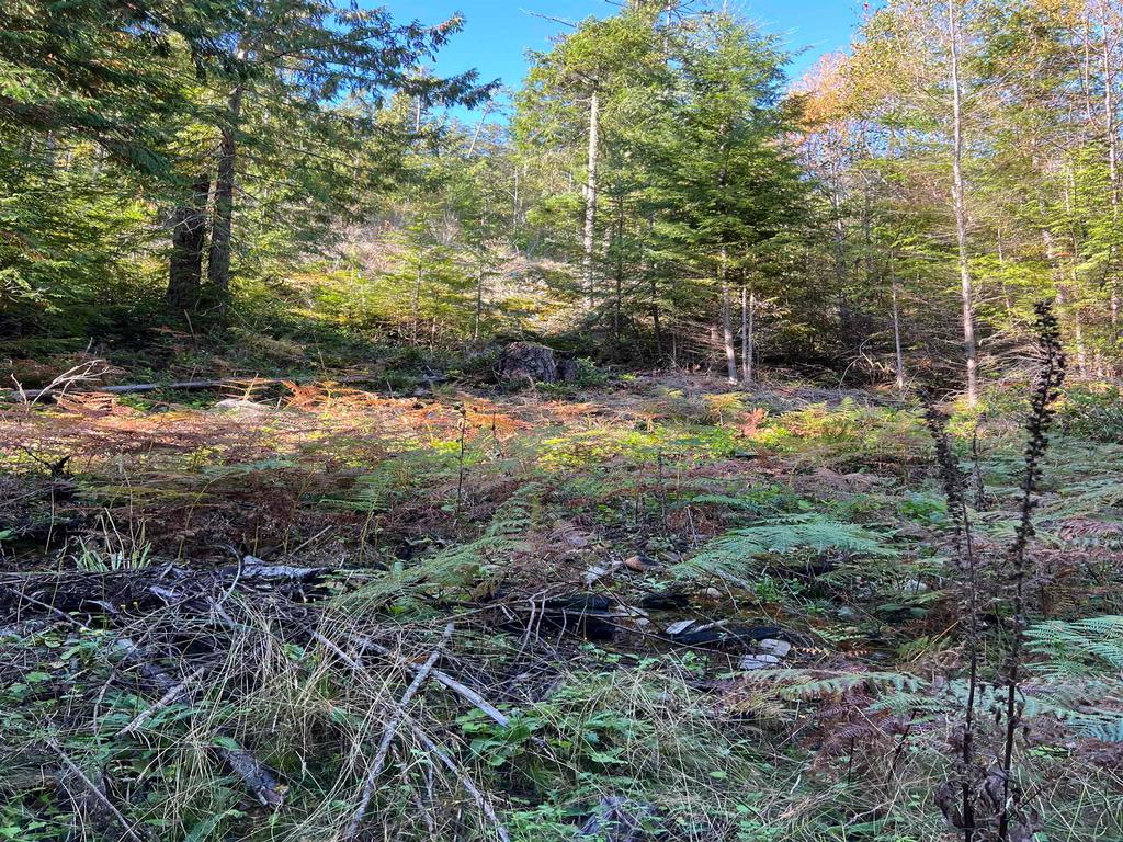 Listing Image for R3135539