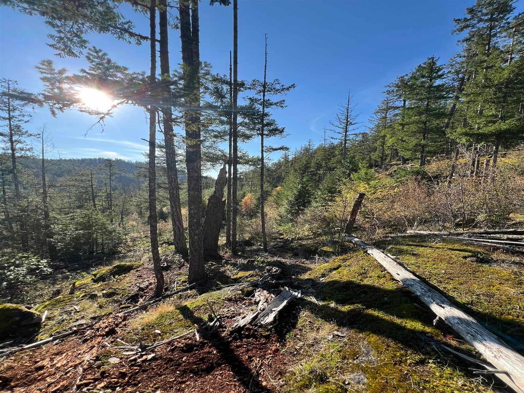 Listing Image for R3135540