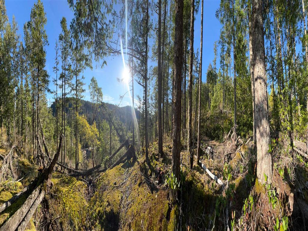Listing Image for R3135540
