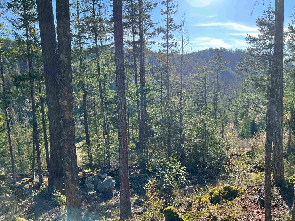 Listing Image for R3135541