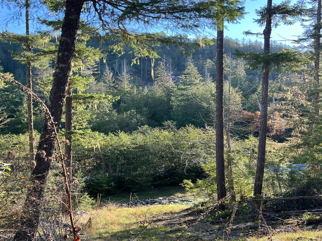 Listing Image for R3135541