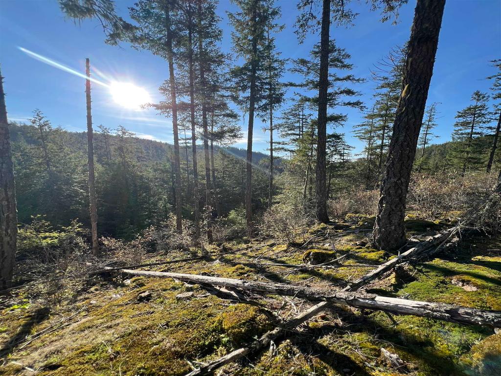 Listing Image for R3135541