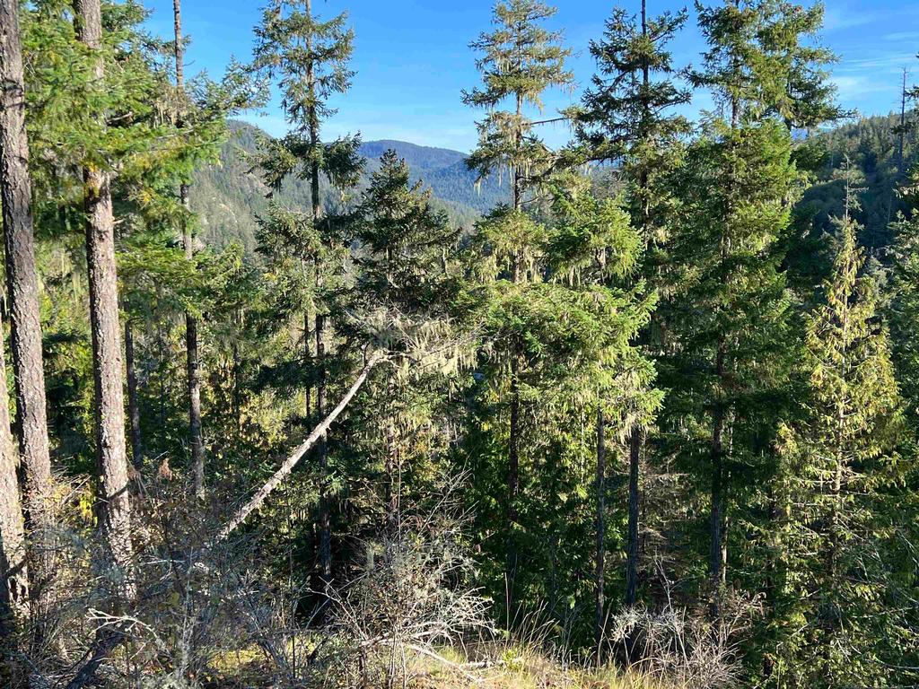 Listing Image for R3135543