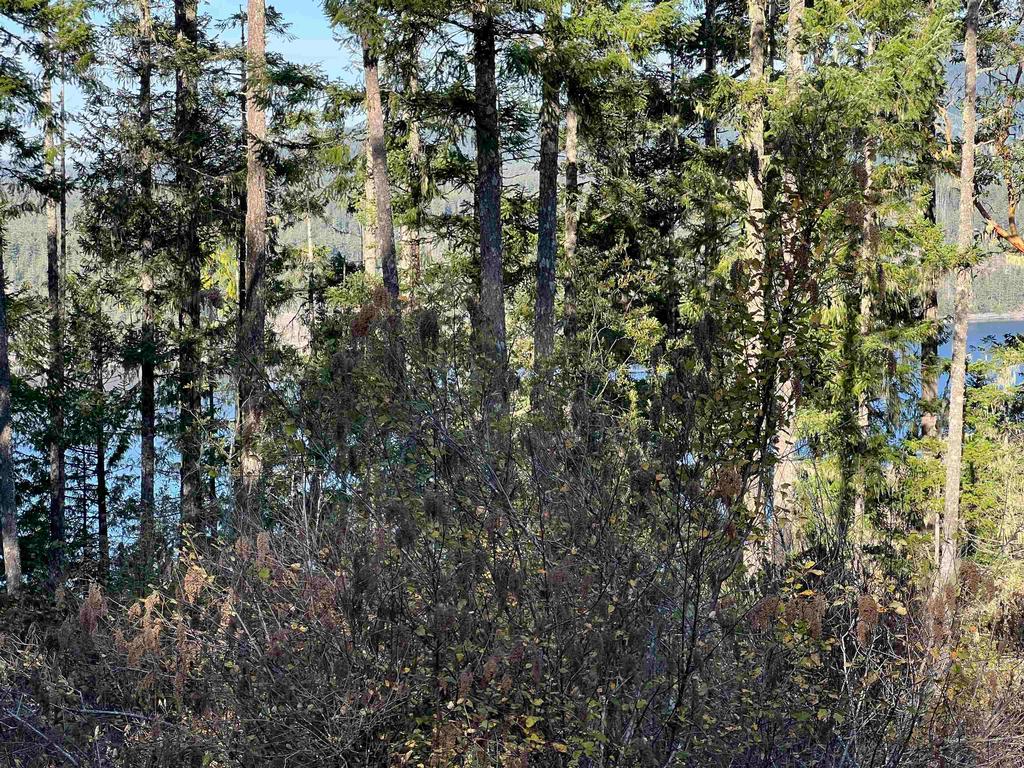 Listing Image for R3135543