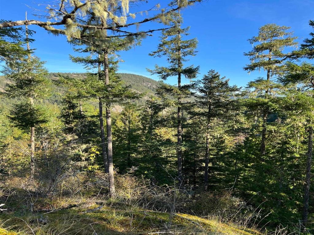 Listing Image for R3135543