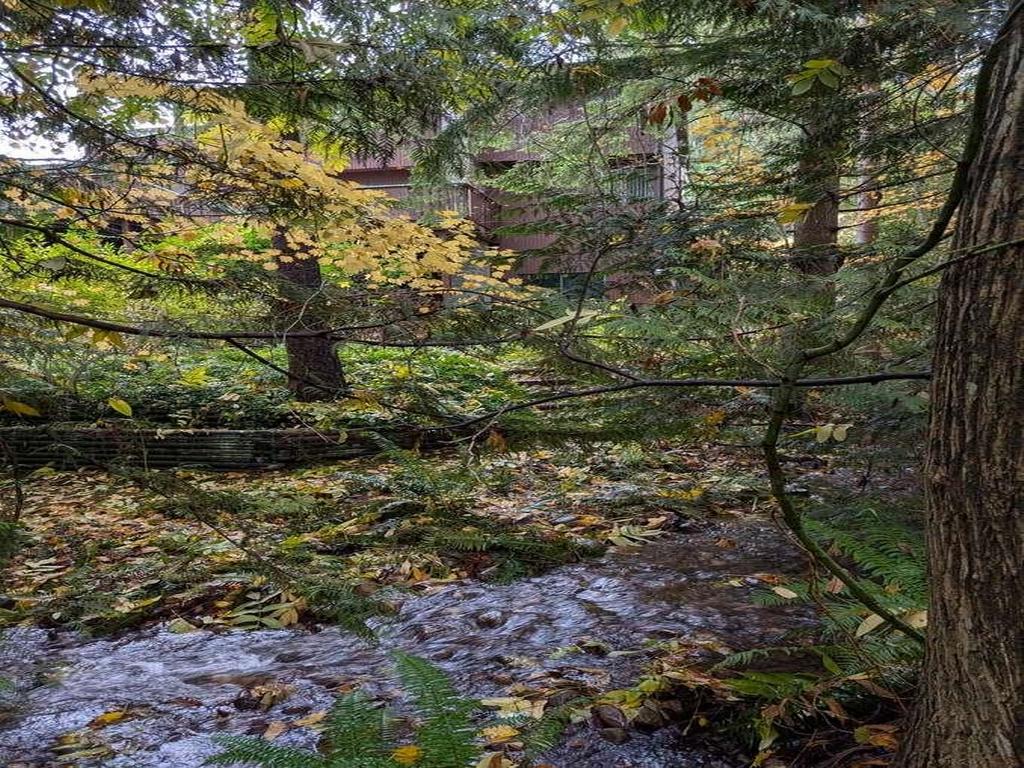 Listing Image for R3135934