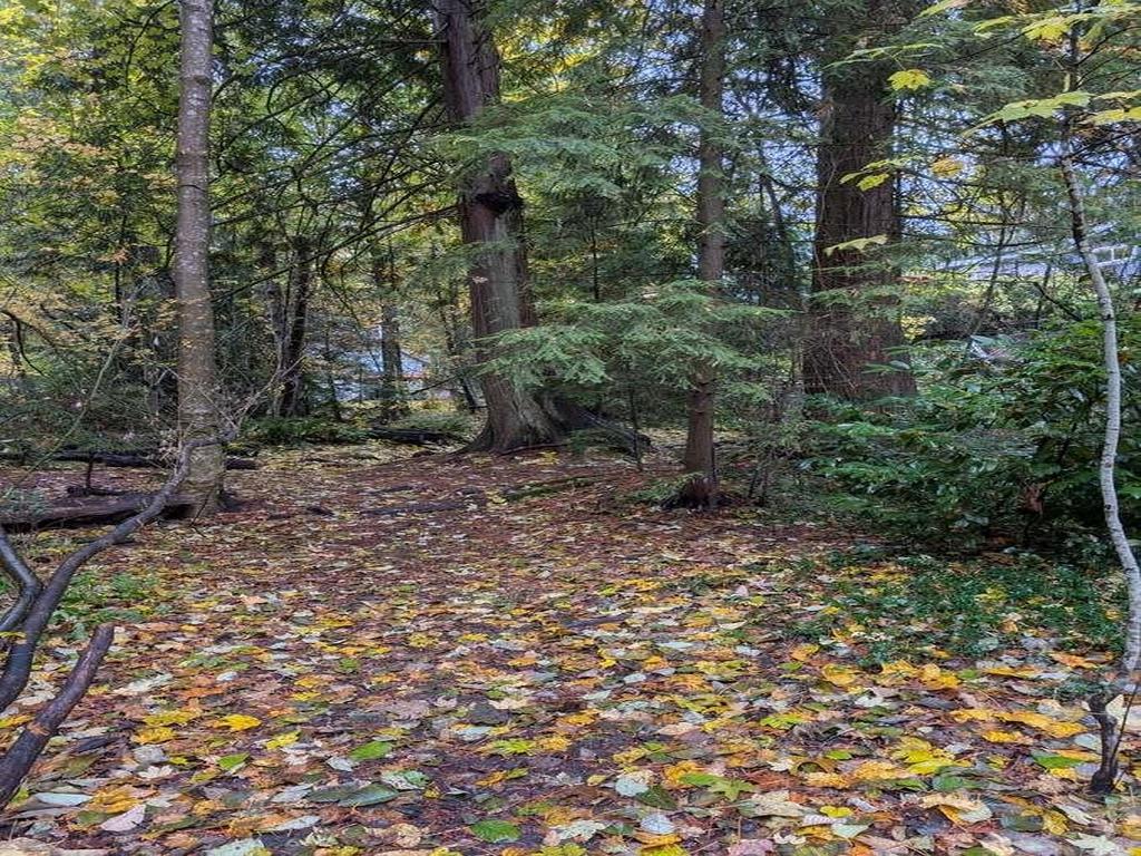 Listing Image for R3135934