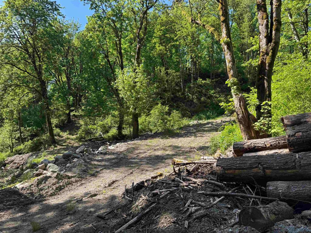 Listing Image for R3136496