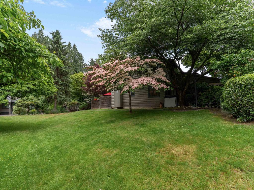 Listing Image for R3136707